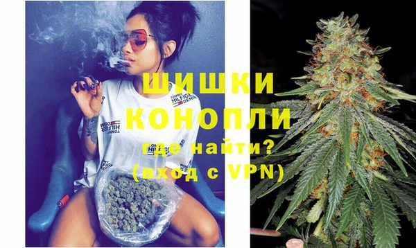 прущие грибы Покачи