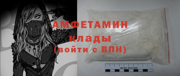прущие грибы Покачи