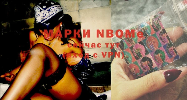 прущие грибы Покачи