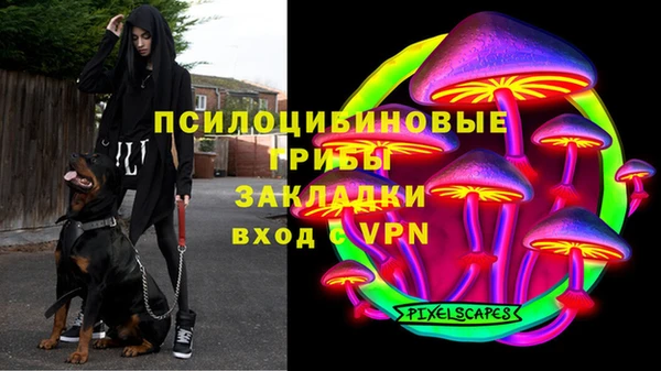 спиды Покровск