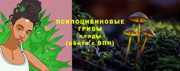 спиды Покровск