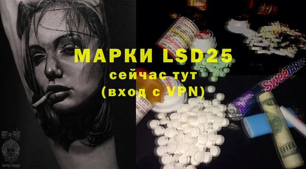 прущие грибы Покачи