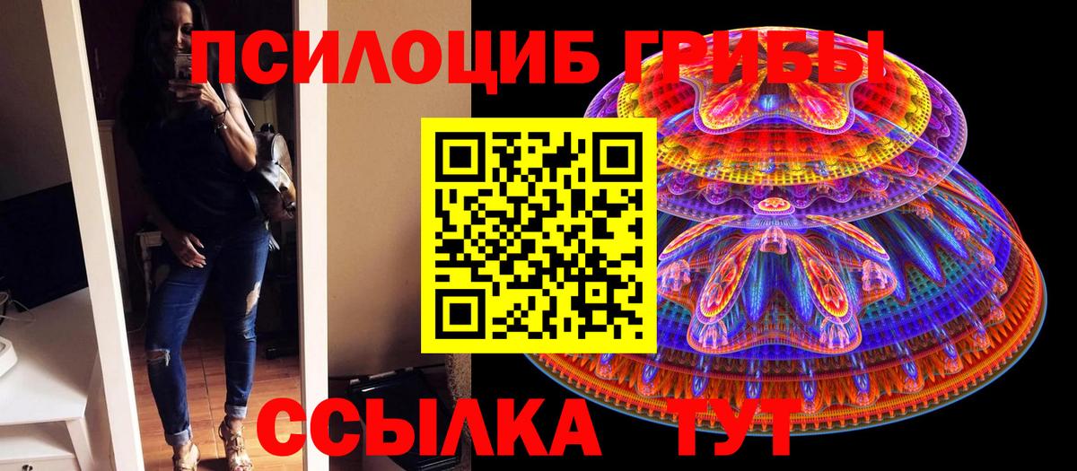 Балахна  Псилоцибиновые грибы Psilocybe  Вход с VPN  Галлюциногенные грибы Cubensis 
