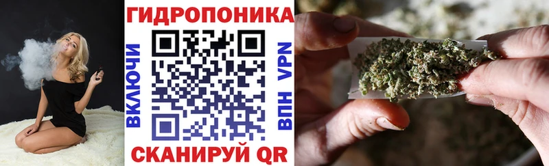 МАРИХУАНА сатива Балахна